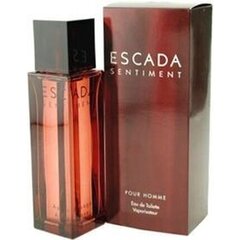 Духи Escada Sentiment Pour Homme EDT для мужчин, 100 мл цена и информация | Мужские духи | kaup24.ee