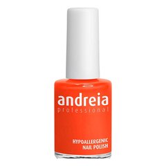 küünelakk Andreia nº 106 (14 ml) цена и информация | Лаки для ногтей, укрепители для ногтей | kaup24.ee