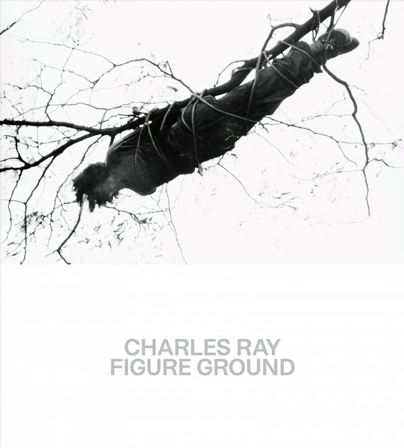 Charles Ray: Figure Ground цена и информация | Kunstiraamatud | kaup24.ee