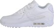 Meeste spordijalanõud Nike Air Max 90 Leather 302519-113, valge цена и информация | Spordi- ja vabaajajalatsid meestele | kaup24.ee