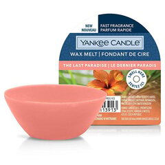 Yankee Candle цена и информация | Свечи, подсвечники | kaup24.ee