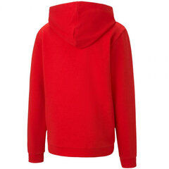 Hüppaja lastele Puma teamGOAL 23 Casuals Hoody Jr punane 656711 01 цена и информация | Свитеры, жилетки, пиджаки для мальчиков | kaup24.ee