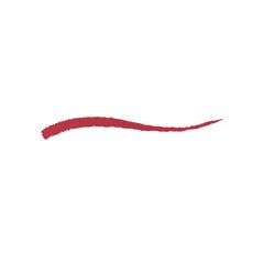 Автоматический карандаш для губ Kiko Milano Everlasting Colour Precision Lip Liner, 415 Sangria цена и информация | Помады, бальзамы, блеск для губ | kaup24.ee
