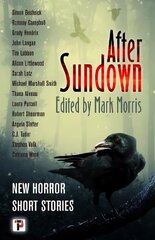 After Sundown цена и информация | Фантастика, фэнтези | kaup24.ee