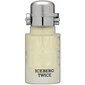 Tualettvesi Iceberg Twice Men EDT meestele 75 ml hind ja info | Meeste parfüümid | kaup24.ee