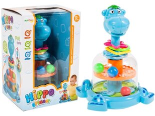 "Hippie Balls" pöörlev mänguasi hind ja info | Arendavad mänguasjad | kaup24.ee