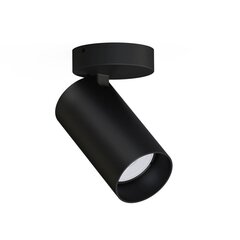 Потолочный светильник Nowodvorski Mono 7838 цена и информация | Потолочные светильники | kaup24.ee