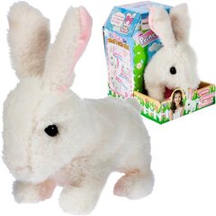 Белый плюшевый кролик с батарейкой BO цена и информация | Игрушки для малышей | kaup24.ee