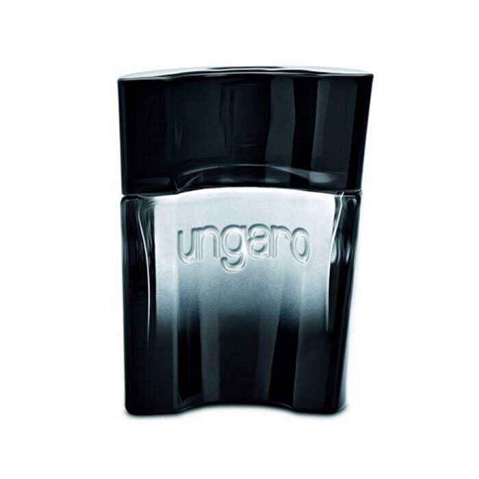 Emanuel Ungaro Masculin EDT meestele 90 ml цена и информация | Meeste parfüümid | kaup24.ee