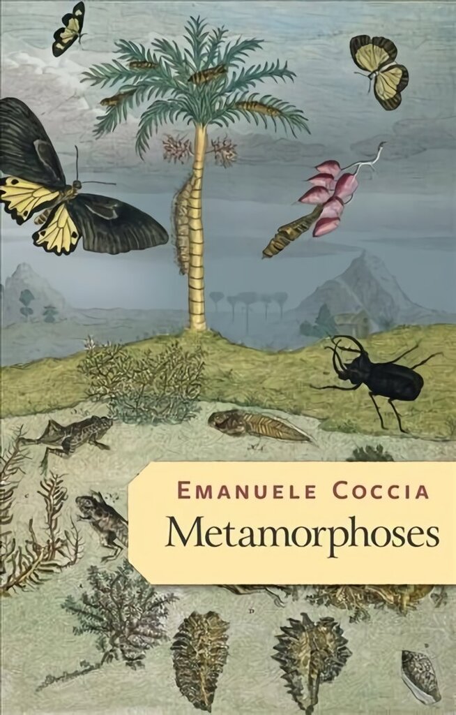 Metamorphoses цена и информация | Ajalooraamatud | kaup24.ee