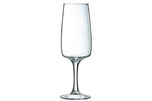 Бокал для шампанского Luminarc EQUIP HOME 170 мл цена и информация | Стаканы, фужеры, кувшины | kaup24.ee