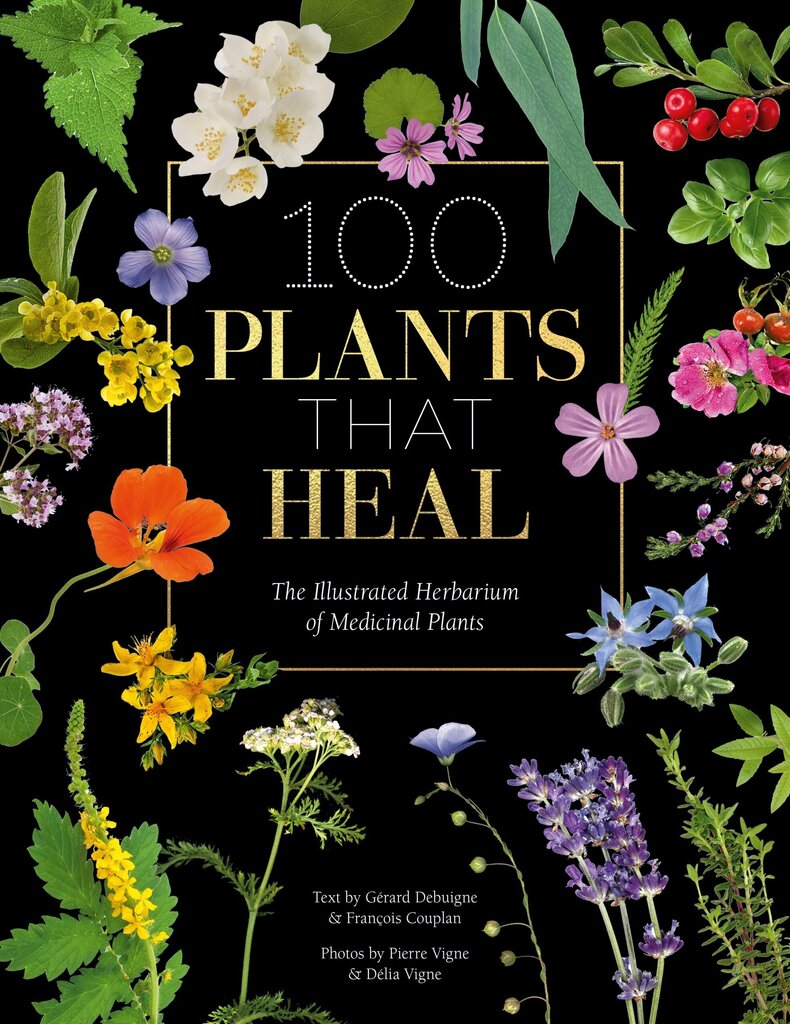 100 Plants that Heal: The illustrated herbarium of medicinal plants hind ja info | Entsüklopeediad, teatmeteosed | kaup24.ee