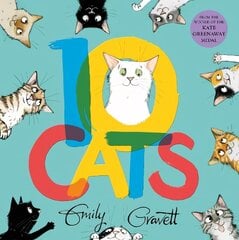 10 Cats цена и информация | Книги для малышей | kaup24.ee