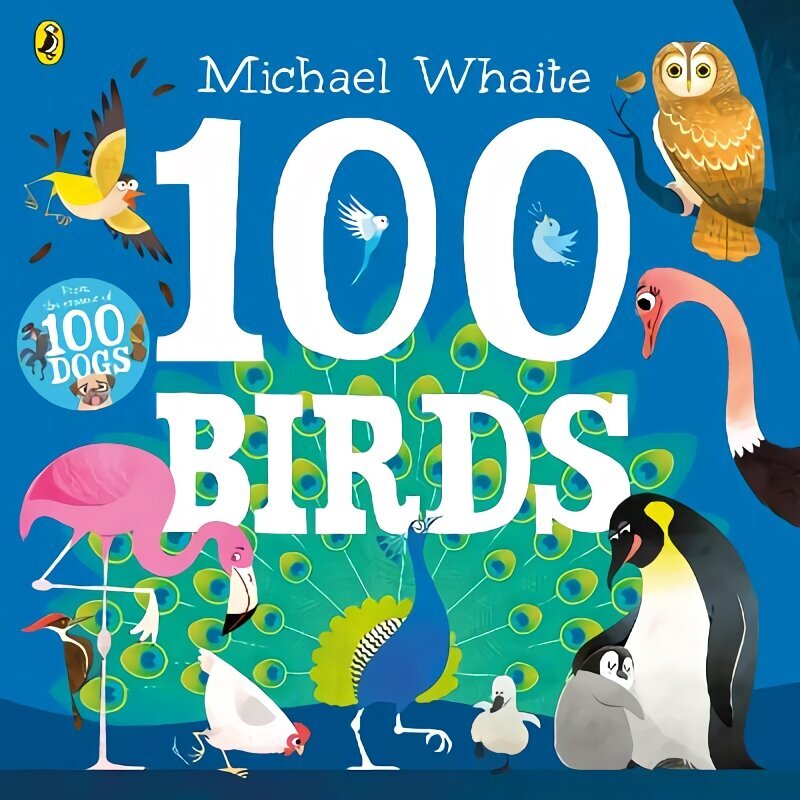 100 Birds hind ja info | Väikelaste raamatud | kaup24.ee