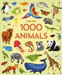 1000 Animals hind ja info | Õpikud | kaup24.ee