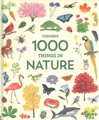 1000 Things in Nature hind ja info | Noortekirjandus | kaup24.ee