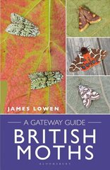 British Moths: A Gateway Guide hind ja info | Majandusalased raamatud | kaup24.ee