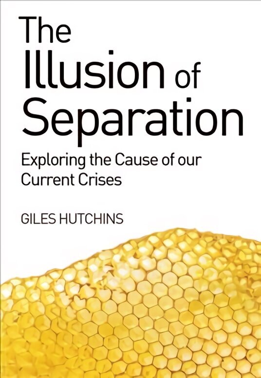 Illusion of Separation: Exploring the Cause of our Current Crises hind ja info | Majandusalased raamatud | kaup24.ee