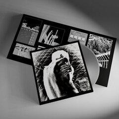 Vinüülplaat LP Suede Autofiction (Indie Exclusive Grey Vinyl, Limited Edition) hind ja info | Vinüülplaadid, CD, DVD | kaup24.ee