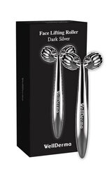 Näoroller-masserija WellDerma Face Lifting Dark Silver Roller цена и информация | Массажеры для лица, инструменты для чистки лица | kaup24.ee