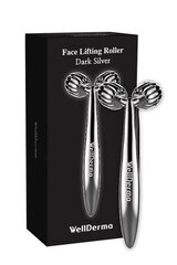 WellDerma Face Lifting Dark Silver Roller - Роликовый массажёр для лица цена и информация | Массажеры для лица, инструменты для чистки лица | kaup24.ee