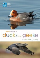 RSPB Spotlight Ducks and Geese цена и информация | Книги о питании и здоровом образе жизни | kaup24.ee