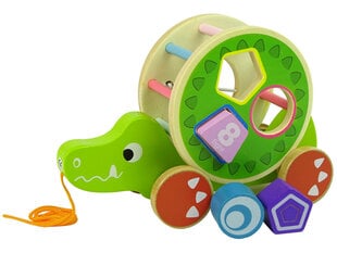 Puidust sorteerija nööriga, krokodill цена и информация | Игрушки для малышей | kaup24.ee