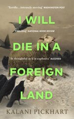 I Will Die in a Foreign Land hind ja info | Romaanid | kaup24.ee