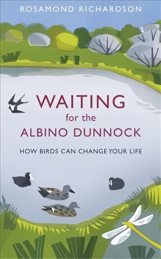 Waiting for the Albino Dunnock: How birds can change your life hind ja info | Tervislik eluviis ja toitumine | kaup24.ee