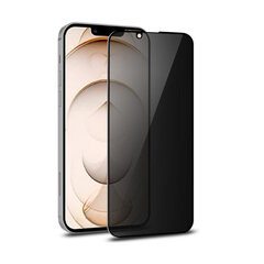 iPhone 13 Pro Max (6,7″) Anti-Spy täisekraani kaitseklaas (10D) hind ja info | Ekraani kaitsekiled | kaup24.ee