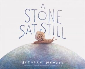 Stone Sat Still: (Environmental and Nature Picture Book for Kids, Perspective Book for Preschool and Kindergarten, Award Winning Illustrator) цена и информация | Книги для малышей | kaup24.ee