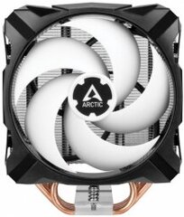 Arctic Freezer A35 hind ja info | Arvuti ventilaatorid | kaup24.ee