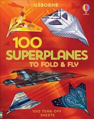 100 Superplanes to Fold and Fly hind ja info | Väikelaste raamatud | kaup24.ee