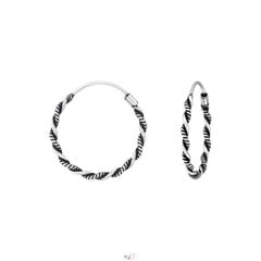 Серебряные серьги, Hoops A4S35092 цена и информация | Серьги | kaup24.ee