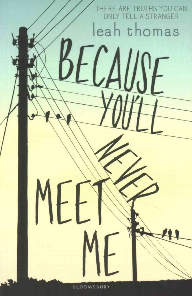 Because You'll Never Meet Me цена и информация | Noortekirjandus | kaup24.ee