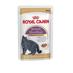 Консервы Royal Canin British Shorthair, 85 г цена и информация | Кошачьи консервы | kaup24.ee