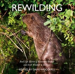 Rewilding: Real Life Stories of Returning British and Irish Wildlife to Balance hind ja info | Ühiskonnateemalised raamatud | kaup24.ee