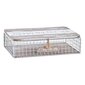 Dekoratiivne karp DKD Home Decor Metall Puit Valge (24 x 16 x 6 cm) цена и информация | Hoiukastid ja -korvid | kaup24.ee