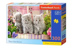 Пазл Castorland Three Grey Kittens, 300 деталей цена и информация | Пазлы | kaup24.ee