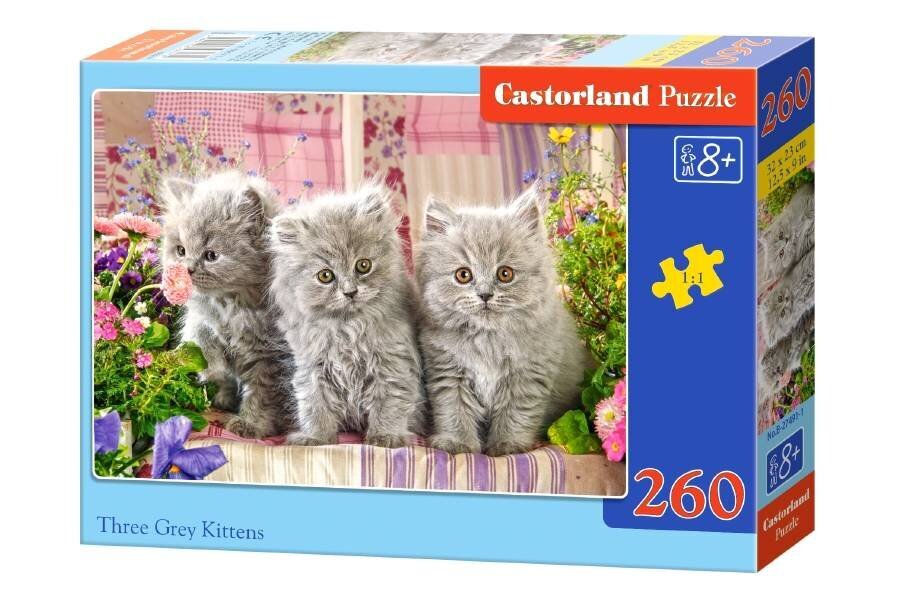 Castorland Kolm halli kassipoega pusle, 260 tükki hind ja info | Pusled | kaup24.ee