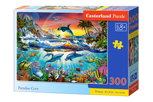 Castorland Paradise Cove Puzzle, 300 tükki hind ja info | Pusled | kaup24.ee