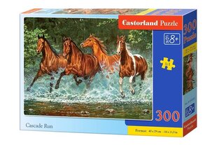 Castorland Cascade Run Puzzle, 300 tükki hind ja info | Pusled | kaup24.ee