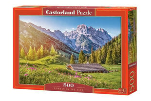 Castorland Summer in the Alps, 500 tükki цена и информация | Пазлы | kaup24.ee