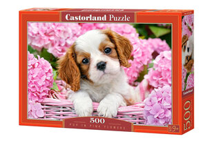 Castorland Pup in Pink Flowers, 500 tk hind ja info | Pusled | kaup24.ee