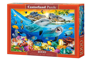 Castorland Dolphins in the Tropics Puzzle, 1000 tükki hind ja info | Pusled | kaup24.ee