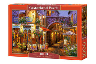 Castorland Evening in Provence Puzzle, 1000 tükki цена и информация | Пазлы | kaup24.ee