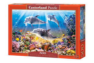 Castorland Dolphins Underwater Puzzle, 500 tükki цена и информация | Пазлы | kaup24.ee