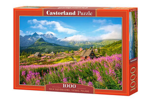 Castorland Tatras, Poola, 1000 tk. hind ja info | Pusled | kaup24.ee