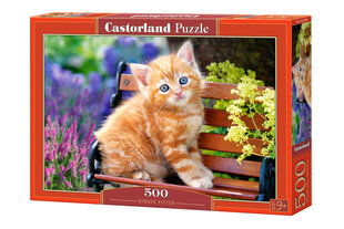 Castorland Ginger Kitten Puzzle, 500 tükki hind ja info | Pusled | kaup24.ee