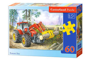 Castorland Forest Site Puzzle, 60 tükki hind ja info | Pusled | kaup24.ee